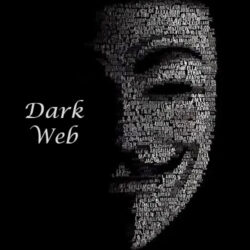 Text and concept of the Dark Web
