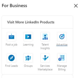 Options in LinkedIn Business Manager