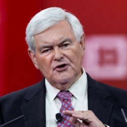 Newt Gingrich, a US Representative and Speaker of the House