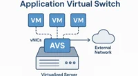 Application Virtual Switch
