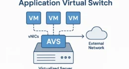 Application Virtual Switch