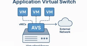 Application Virtual Switch
