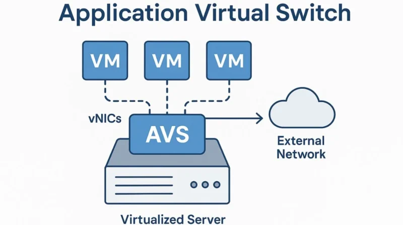 Application Virtual Switch