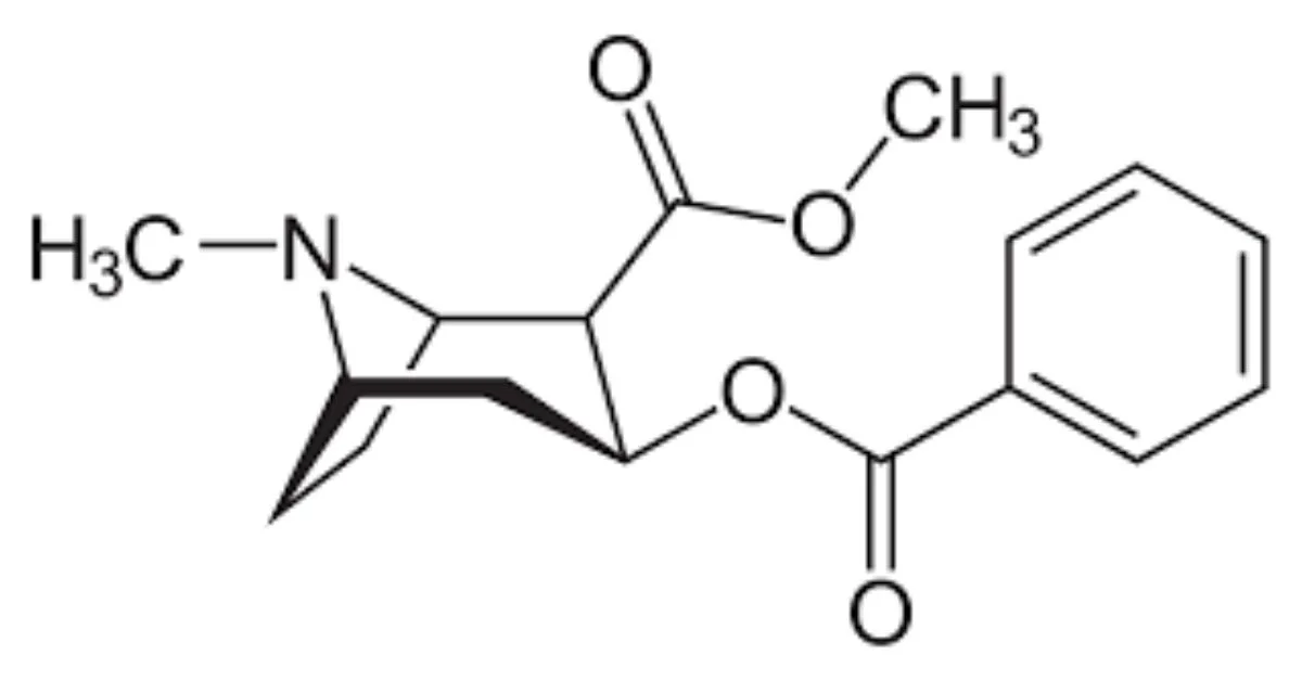 Cocaine Chemical Formula