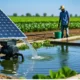 Solar-powered water pump irrigating crops in a sunny agricultural field