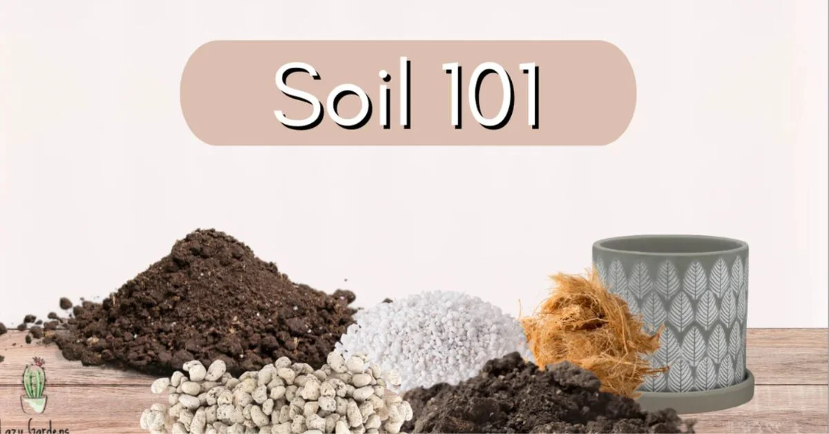 type of soil