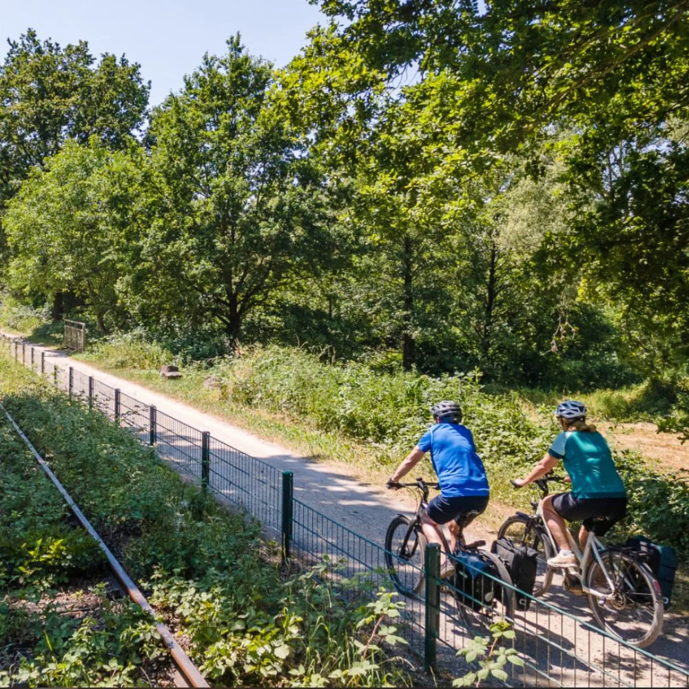 Cyclists along scenic river trail with trees and hills